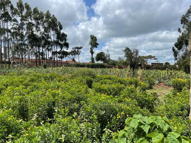 Prime Half Acre Land for Sale in Limuru, Kamandura.