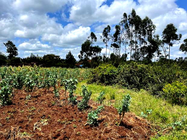 Prime Half Acre Land for Sale in Limuru, Kamandura.