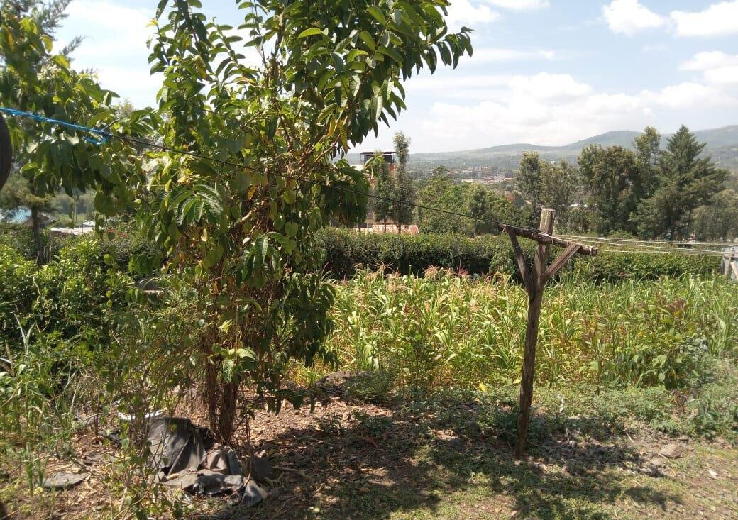 Garden Plot in Kiserian
