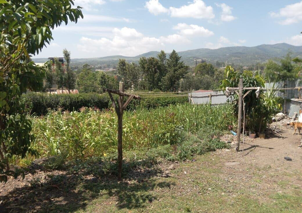Garden Plot in Kiserian