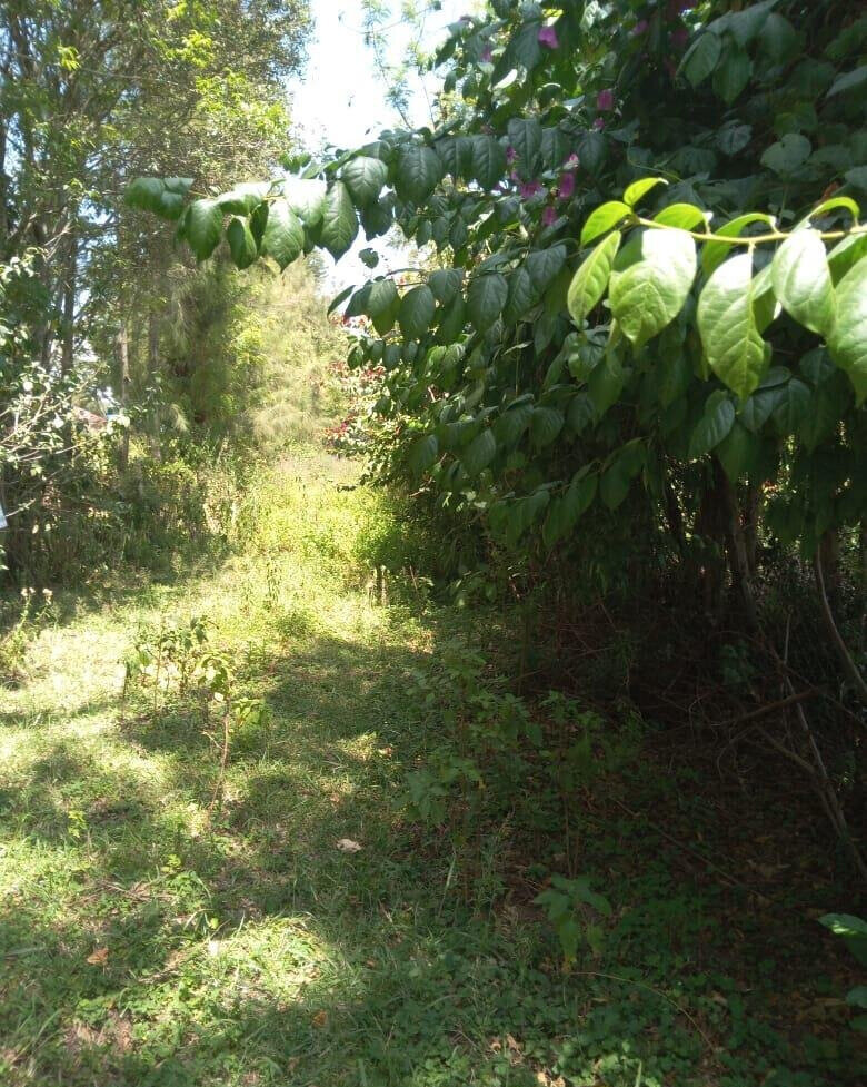 Garden Plot in Kiserian