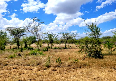 1/2 Acre Garden Plot in Lukenya