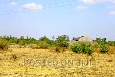 Plots in Juja Farm(Kwa Murage,Mwireri,Masisters) - Image 1