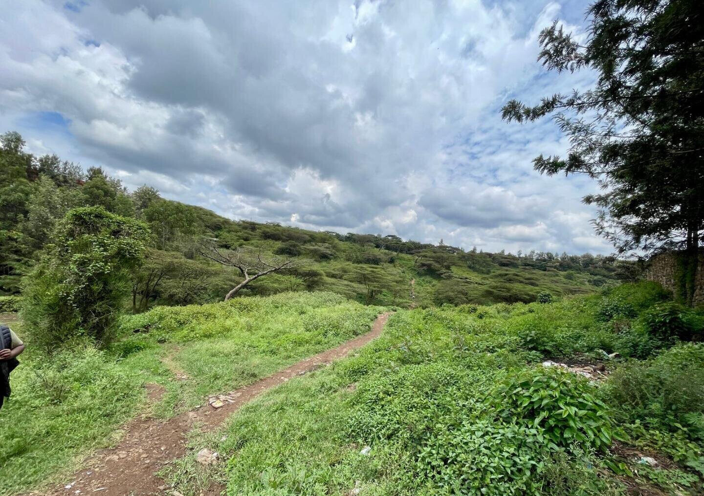 Garden Plot in Ongata Rongai for KSh 8M