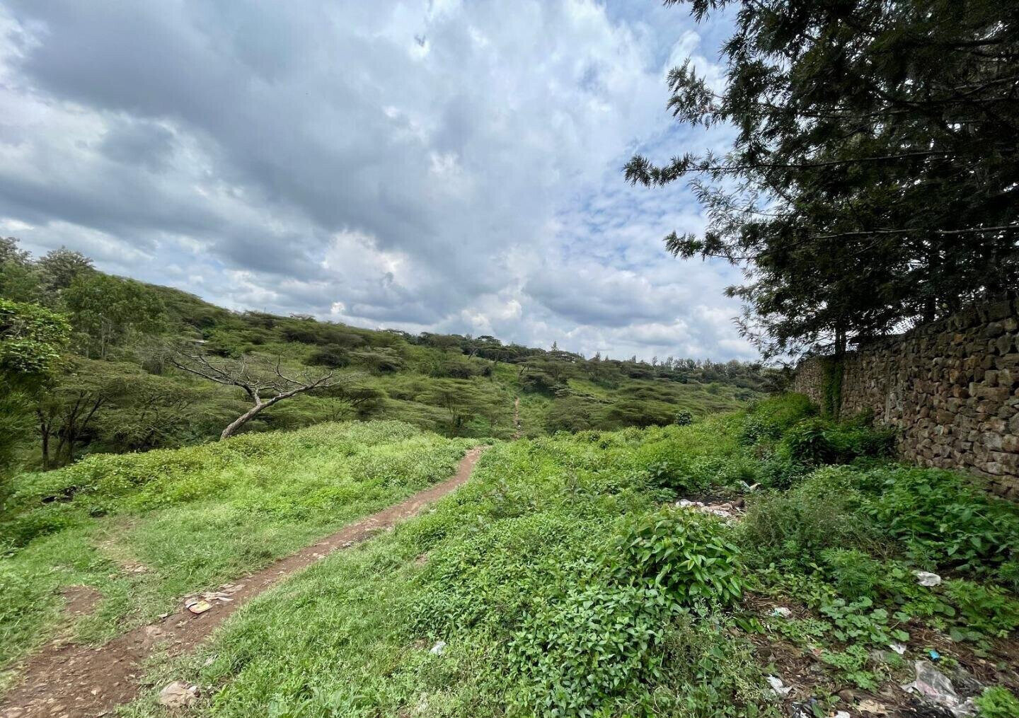 Garden Plot in Ongata Rongai for KSh 8M
