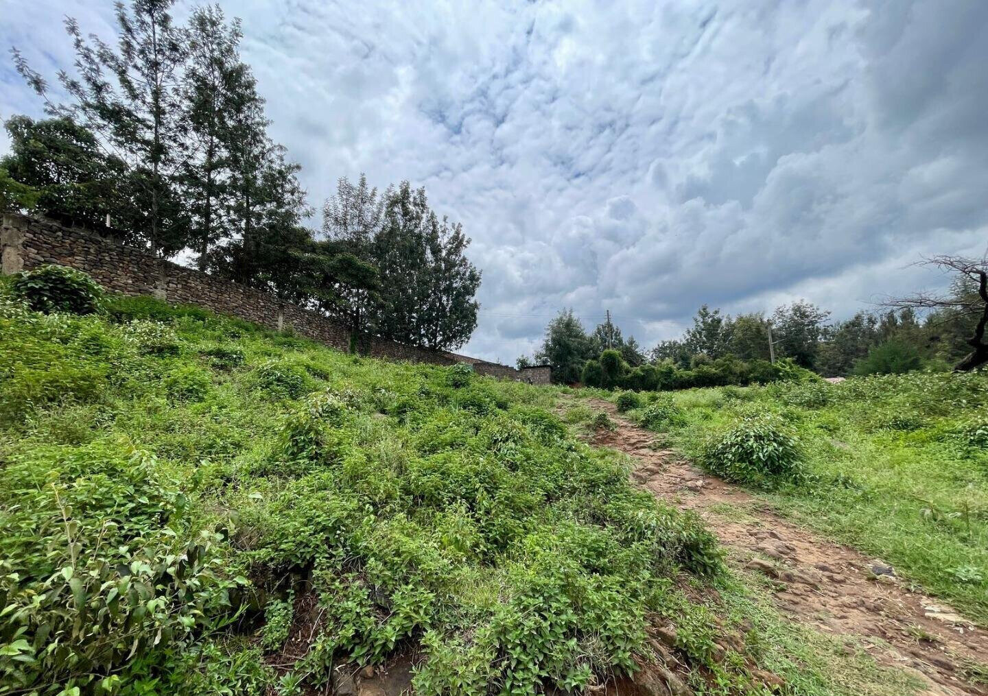 Garden Plot in Ongata Rongai for KSh 8M