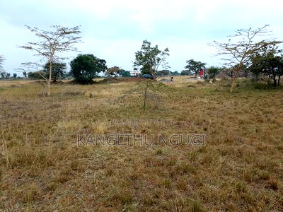 Two 40x80 Plots at Twiga Estate Ruiru - Image 1