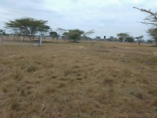 Two 40x80 Plots at Twiga Estate Ruiru