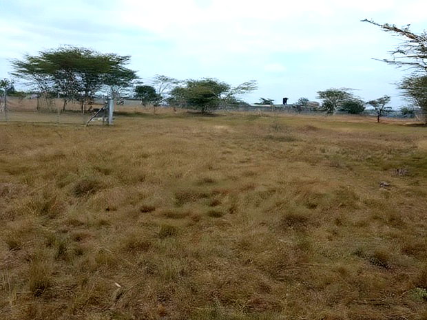 Two 40x80 Plots at Twiga Estate Ruiru