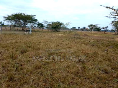 Two 40x80 Plots at Twiga Estate Ruiru - Image 4
