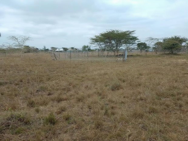 Two 40x80 Plots at Twiga Estate Ruiru