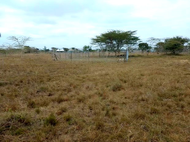 Two 40x80 Plots at Twiga Estate Ruiru
