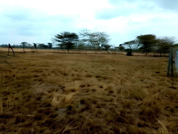 Two 40x80 Plots at Twiga Estate Ruiru