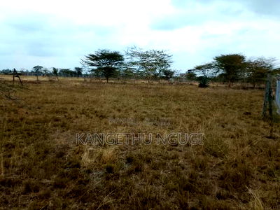 Two 40x80 Plots at Twiga Estate Ruiru - Image 2