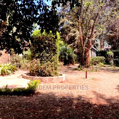Commercial Bungalow to Let in Kilimani - Image 1