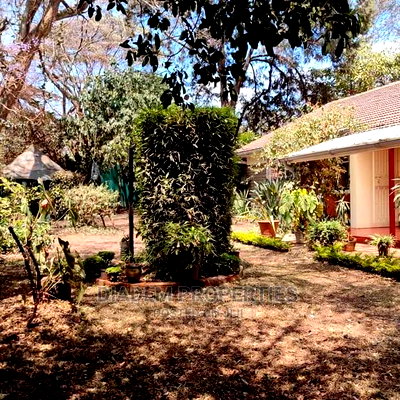Commercial Bungalow to Let in Kilimani - Image 4