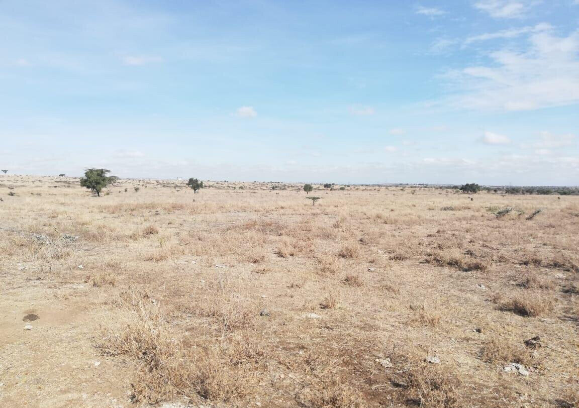 50x100 Garden Plot at KSh 1.5M