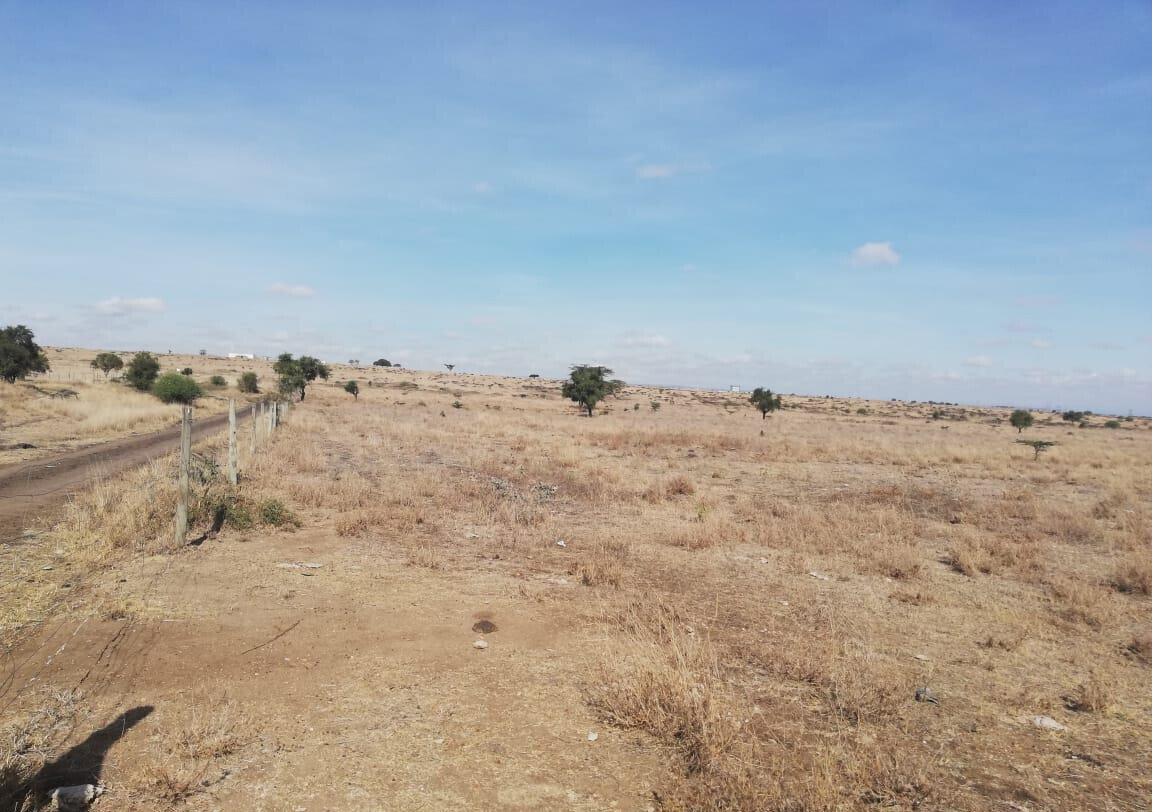 50x100 Garden Plot at KSh 1.5M