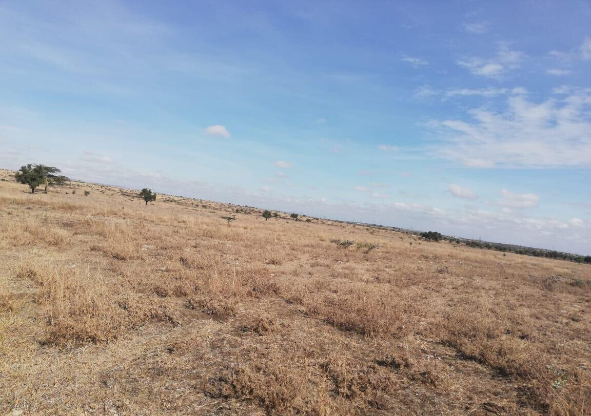 50x100 Garden Plot at KSh 1.5M