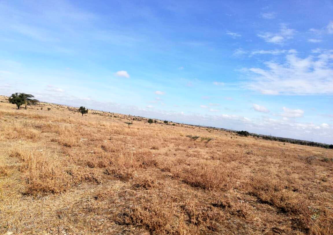 50x100 Garden Plot at KSh 1.5M