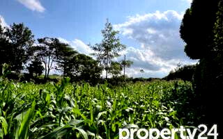 Half Acre Plot at KSh 49M