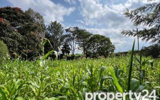 Half Acre Plot at KSh 49M