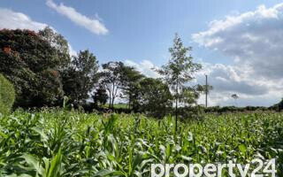 Half Acre Plot at KSh 49M