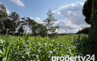 Half Acre Plot at KSh 49M