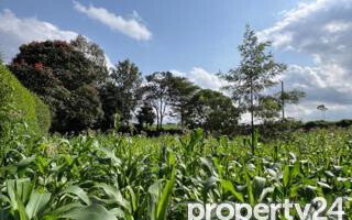 Half Acre Plot at KSh 49M