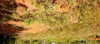 Alego Tingwang'i Near Ochiewa Primary School - Image 2