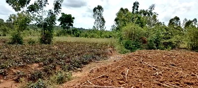 Alego Tingwang'i Near Ochiewa Primary School - Image 3