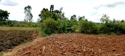 Alego Tingwang'i Near Ochiewa Primary School - Image 1