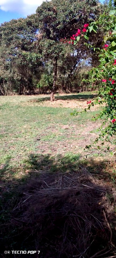 2 1/8 acre prime plots for sale in Ruai town