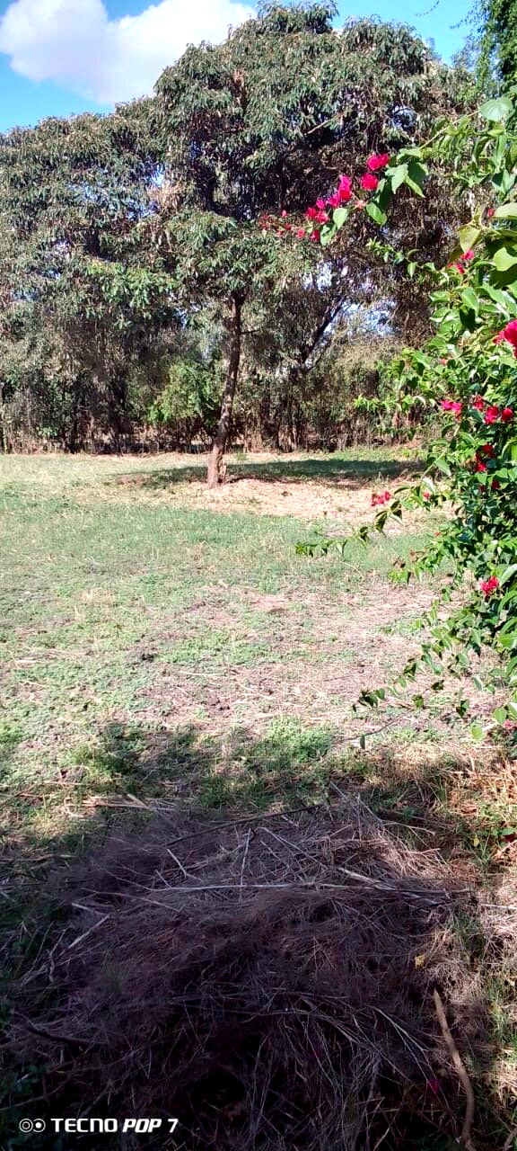 2 1/8 acre prime plots for sale in Ruai town