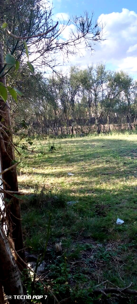 2 1/8 acre prime plots for sale in Ruai town