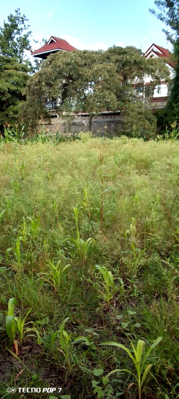 2 1/8 acre prime plots for sale in Ruai town