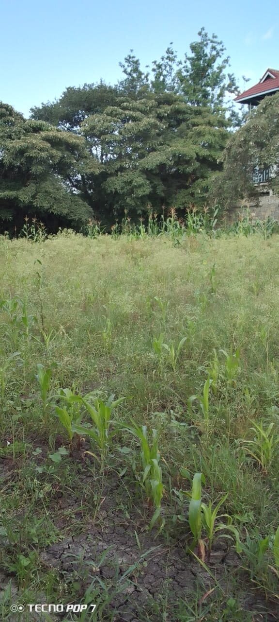 2 1/8 acre prime plots for sale in Ruai town