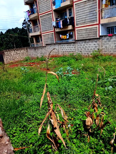 50x100 Commercial Plot Ruaka - Image 8