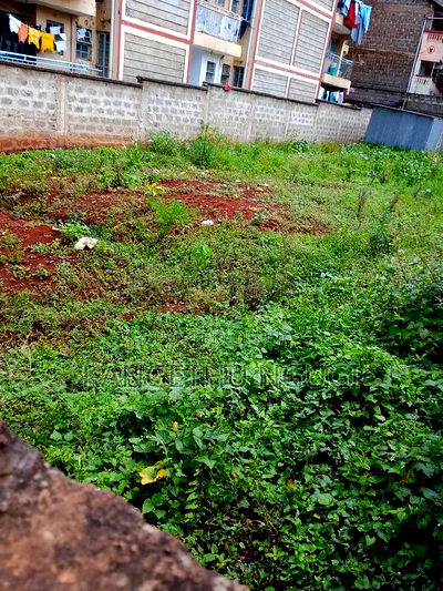 50x100 Commercial Plot Ruaka - Image 3