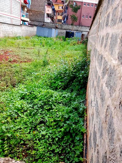 50x100 Commercial Plot Ruaka - Image 1