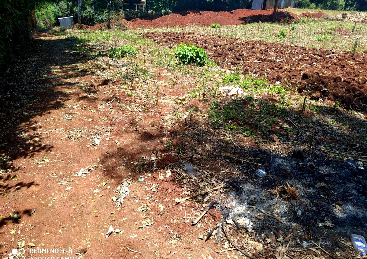 KSh 7.5M Plot in Kawangware 46