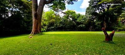 Half Acre in Karen at KSh 45M