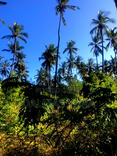 A Quarter an Acre Land at Dongokundu in Watamu - Image 1
