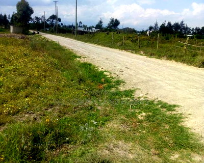 1/4acre on Sale Heni Kinangop Near Karuru - Image 2