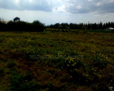 1/4acre on Sale Heni Kinangop Near Karuru - Image 1