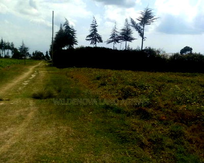 1/4acre on Sale Heni Kinangop Near Karuru - Image 3