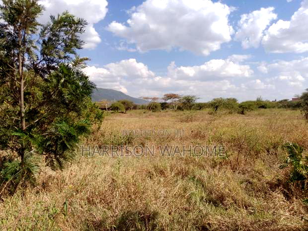 50*100 Plots for Sale in Ngong Kimuka