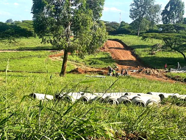 Serviced Eighth Acre Plot for Sale