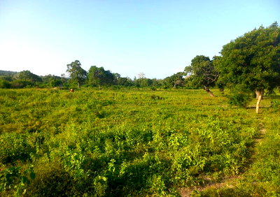 0.57 Acre Plot in Malindi