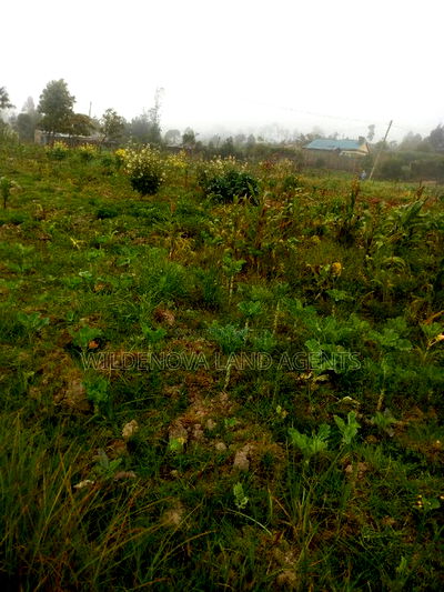 Land on Sale at Flyover Along Nairobi Nakuru Highway - Image 1